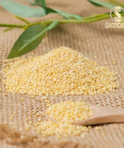 Hạt Kê nếp vàng sấy khô sạch vỏ, nhiều chất dinh dưỡng Satoso - Ảnh 3