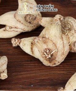 Bạch Cập sấy khô Satoso