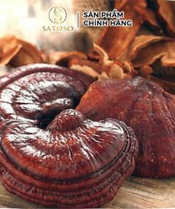 Nấm Linh Chi sấy khô Satoso