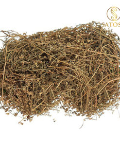 Biển Súc (Rau đắng biển) sấy khô Satoso - Ảnh 8