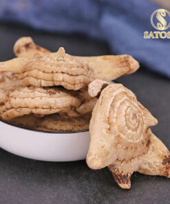 Bạch Cập sấy khô Satoso - Ảnh 8