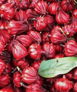 Trà Hoa Atiso sấy khô Satoso - Ảnh 3
