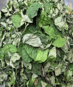 Lá lốt khô Satoso hỗ trợ tiêu hóa, tăng cường hệ miễn dịch - Ảnh 5