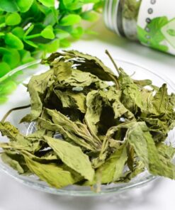 Trà bạc hà Satoso hỗ trợ tiêu hóa, giúp tinh thần tỉnh táo - Ảnh 5