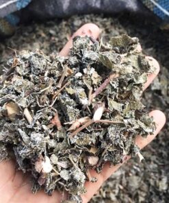 Chè dây Cao Bằng sấy khô Satoso - Ảnh 6