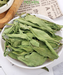 Trà Cỏ Ngọt Satoso sấy khô hỗ trợ kiểm soát đường huyết - Ảnh 6