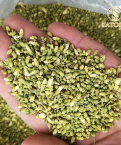 Nụ hoa Hòe sấy khô Satoso hỗ trợ ổn định huyết áp và tuần hoàn - Ảnh 5