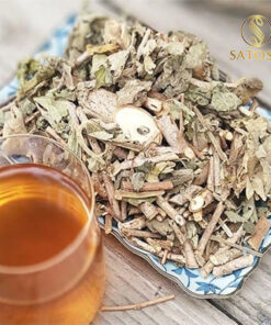 Cây An Xoa Khô SATOSO - Ảnh 6