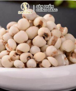 Thổ Bối Mẫu khô Satoso - Ảnh 4