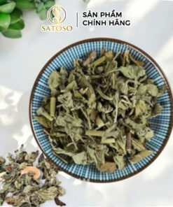 Cây Cải Trời Khô Thượng Hạng SATOSO