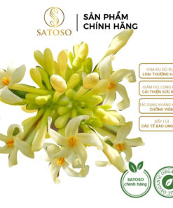 Hoa Đu Đủ Đực Khô SATOSO