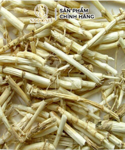 Rễ Cỏ Tranh Khô Satoso
