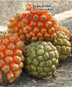 Dứa Dại Khô SATOSO - Ảnh 2