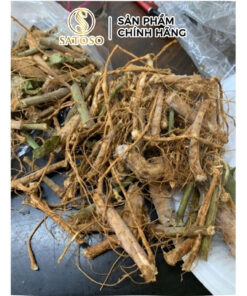 Rễ Cây Xấu Hổ Đỏ Sấy Khô Thương Hiệu Satoso - Ảnh 2