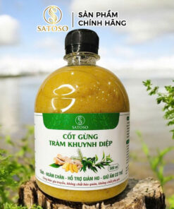 Cốt Gừng Tràm Khuynh Diệp Satoso 500ml- Pha Tắm Bé, Ngâm Chân, Giữ Ấm - Ảnh 2
