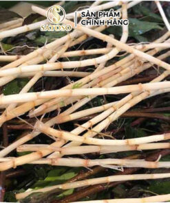 Rễ Cỏ Tranh Khô Satoso - Ảnh 2