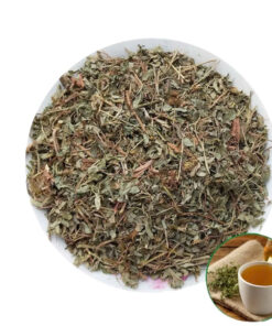 Cỏ Sữa Lá Nhỏ Khô Satoso - Ảnh 3