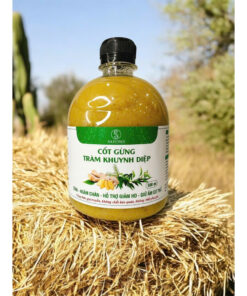 Cốt Gừng Tràm Khuynh Diệp Satoso 500ml- Pha Tắm Bé, Ngâm Chân, Giữ Ấm - Ảnh 3