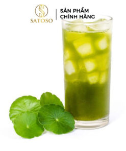 Cây Rau Má Khô SATOSO - Ảnh 3