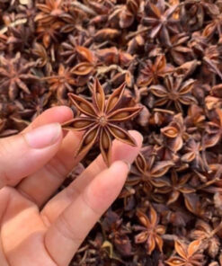Hoa Hồi Khô Loại 1 Làm Gia Vị Thơm Ngon Thương Hiệu SATOSO - Ảnh 3