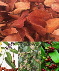 Thổ Phục Linh Đỏ Khô Thương Hiệu SATOSO - Ảnh 4