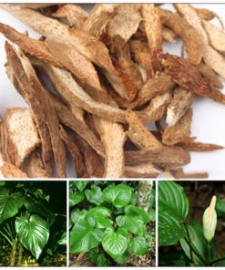 Thiên Niên Kiện Khô Sạch Thượng Hạng SATOSO - Ảnh 3