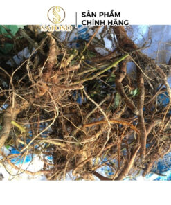 Rễ Cây Xấu Hổ Đỏ Sấy Khô Thương Hiệu Satoso - Ảnh 4