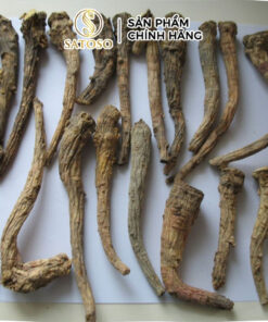 Tiền Hồ Khô SATOSO - Ảnh 4