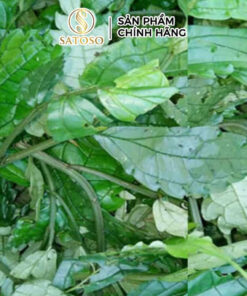 Lá Đắng Khô SATOSO - Ảnh 4