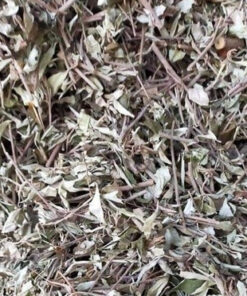 Khổ Sâm Khô Giúp Hỗ Trợ Các Vấn Đề Về Da Thương Hiệu SATOSO - Ảnh 4
