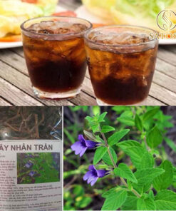 Nhân Trần Sấy Khô  SATOSO - Ảnh 5