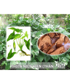 Thiên Niên Kiện Khô Sạch Thượng Hạng SATOSO - Ảnh 4