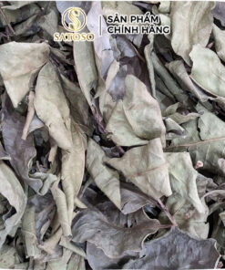 Lá Vối Khô Satoso - Ảnh 5