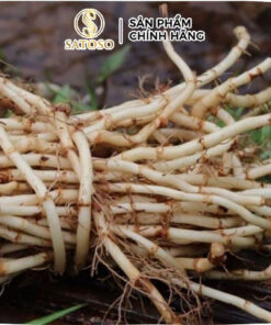 Rễ Cỏ Tranh Khô Satoso - Ảnh 5
