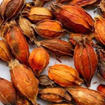 Hạt Dành Dành Khô Satoso - Ảnh 4