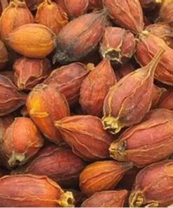 Hạt Dành Dành Khô Satoso - Ảnh 6