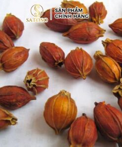 Hạt Dành Dành Khô Satoso