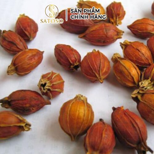 Hạt Dành Dành Khô Satoso