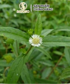 Nhọ Nồi khô Satoso