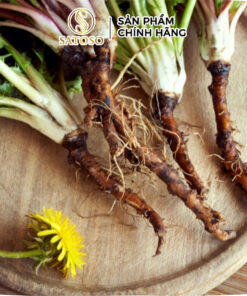 Rễ Bồ Công Anh Khô Thượng Hạng SATOSO
