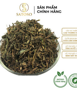 Cây hy thiêm khô SATOSO
