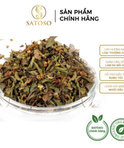 Cây hương nhu khô thượng hạng SATOSO