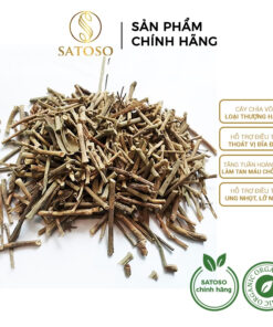 Cây chìa vôi khô SATOSO