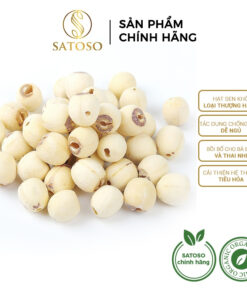 Hạt sen khô thượng hạng tốt cho sức khỏe giúp ngủ tốt SATOSO
