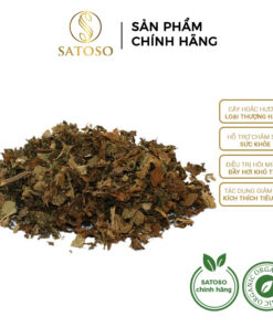 Hoắc hương khô SATOSO hàng đẹp sạch thơm tốt cho sức khỏe