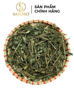 Xuyên tâm liên khô SATOSO