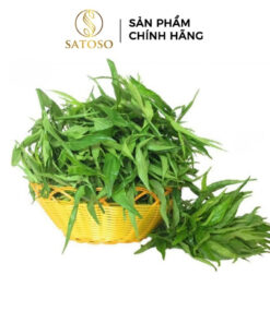 Cây Xương Khỉ Khô SATOSO