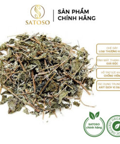 Chè Dây Thượng Hạng Túi Lọc Thương Hiệu Satoso Hỗ Trợ Sức Khoẻ
