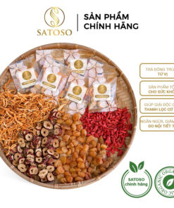 Trà Đông Trùng Tứ Vị SATOSO Hỗ Trợ Giảm Mệt Mỏi, Bồi Bổ Cơ Thể