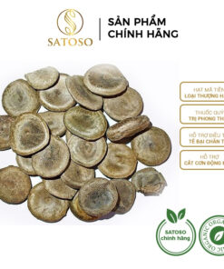 Hạt Mã Tiền Khô Thượng Hạng SATOSO